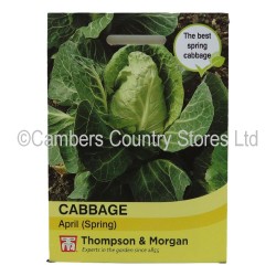 Thompson & Morgan Cabbage April (Spring)